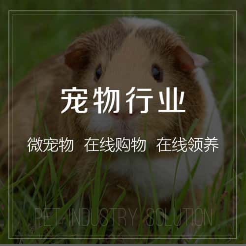 阳泉宠物